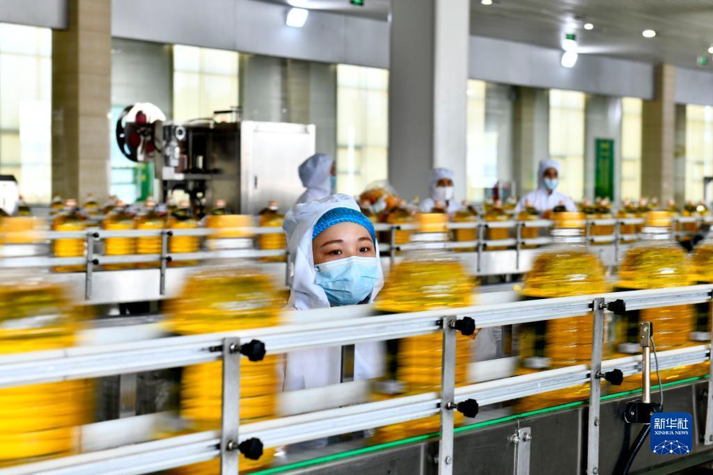 百家了乐八大技巧软件